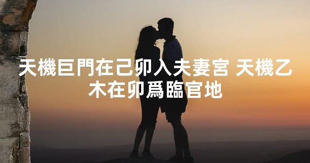 天機巨門在己卯入夫妻宮 天機乙木在卯爲臨官地